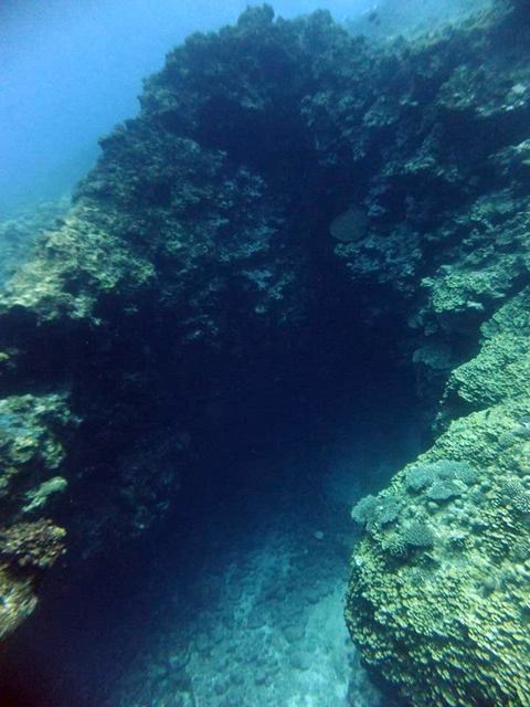 サイパン 体験ダイビング