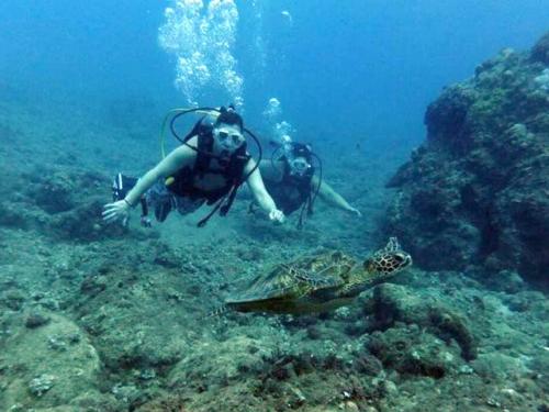 サイパン ダイビング