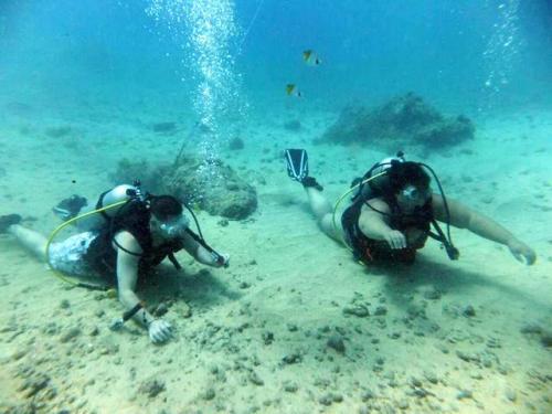 サイパン 体験ダイビング
