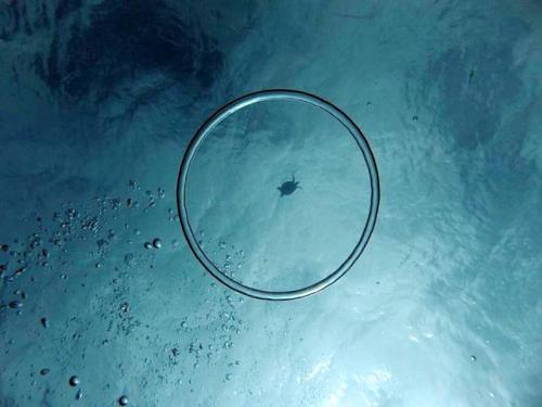 サイパン ダイビング