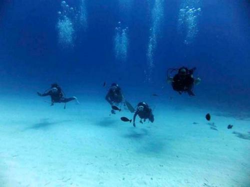 サイパン ダイビング ライセンス