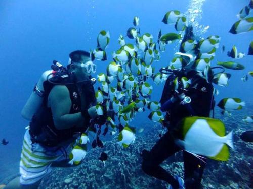 サイパン 体験ダイビング