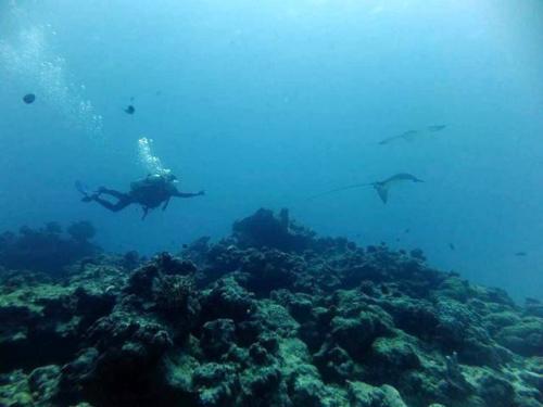 サイパン ダイビングショップ