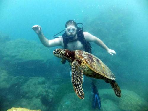 サイパン ダイビングショップ