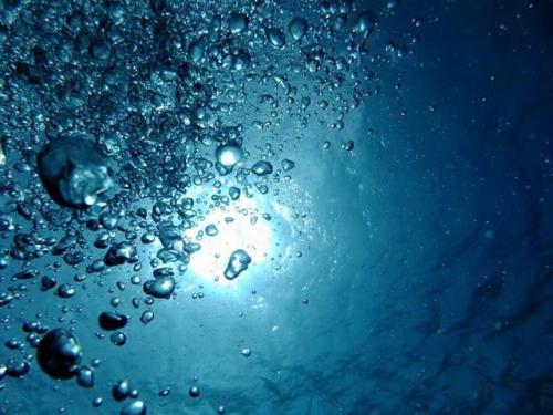 サイパン ダイビング ライセンス