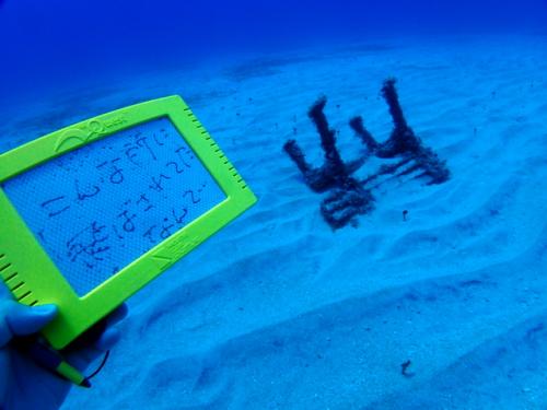 サイパン 体験ダイビング