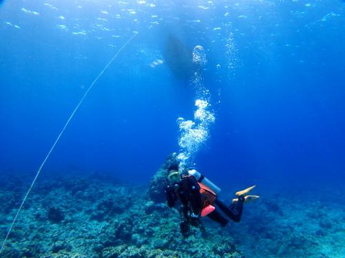 サイパン ダイビング