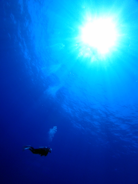 サイパン ダイビング