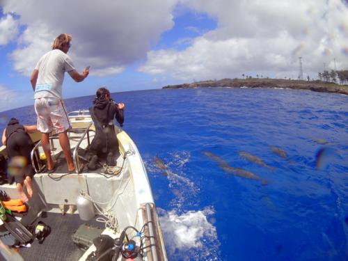 サイパン ダイビング ライセンス