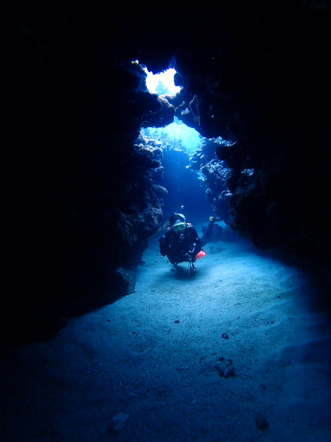 サイパン ダイビングショップ