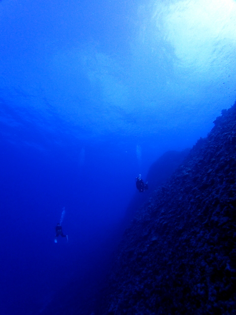 サイパン ダイビング