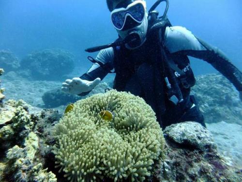 サイパン ダイビング