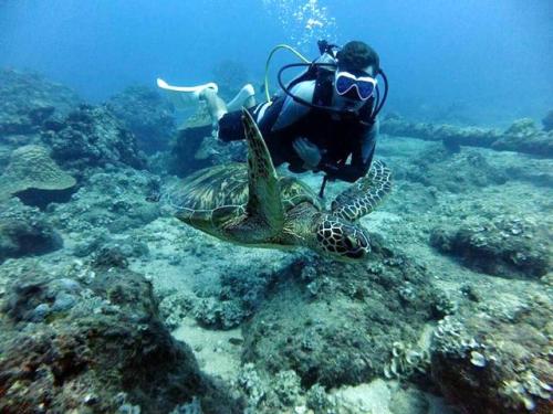 サイパン ダイビングショップ