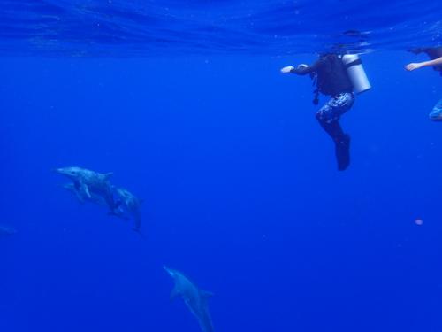 サイパン ダイビング