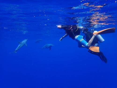 サイパン 体験ダイビング