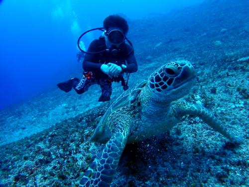 サイパン ダイビングショップ