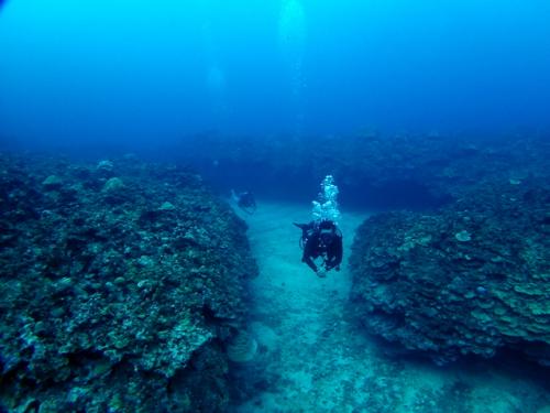 サイパン ダイビング