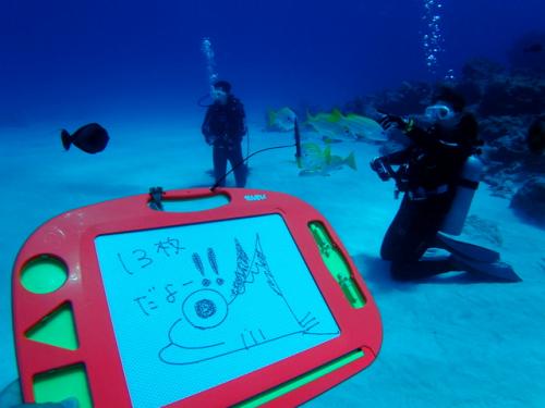 サイパン ダイビングライセンス