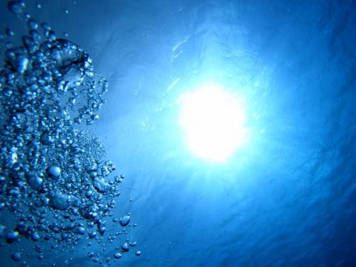 サイパン ダイビングライセンス