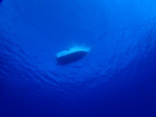 サイパン 体験ダイビング