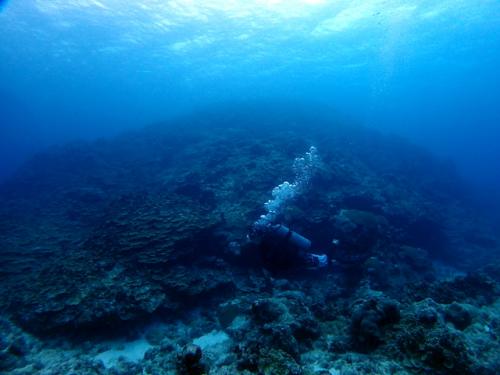 サイパン ダイビングライセンス