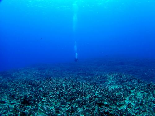 サイパン 体験ダイビング