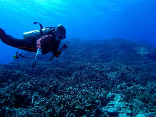 サイパン ダイビングライセンス