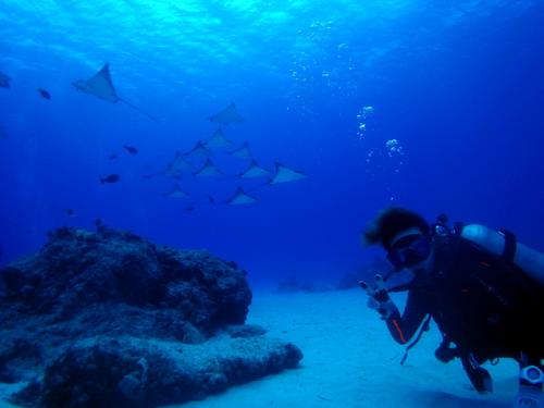 サイパン 体験ダイビング