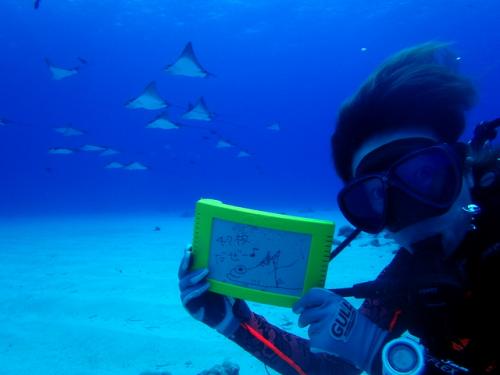 サイパン ダイビングショップ