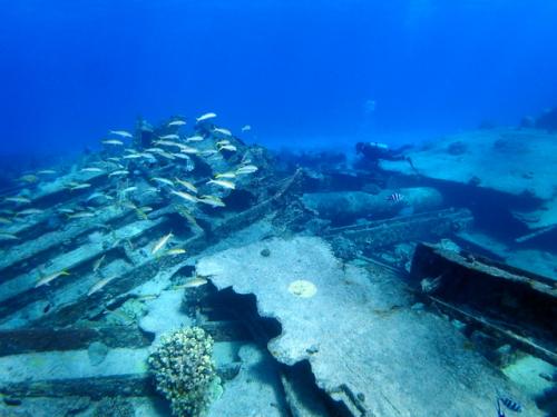 サイパン ダイビングショップ