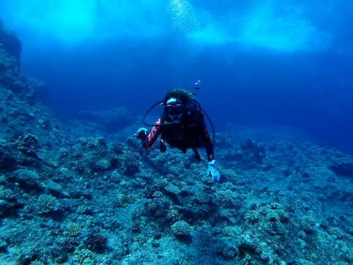 サイパン ダイビングライセンス