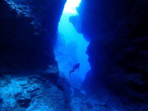 サイパン ダイビングライセンス