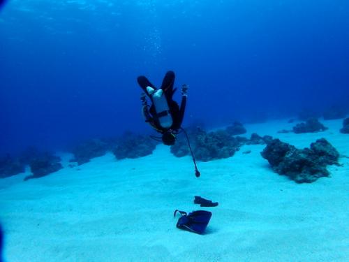 サイパン ダイビング