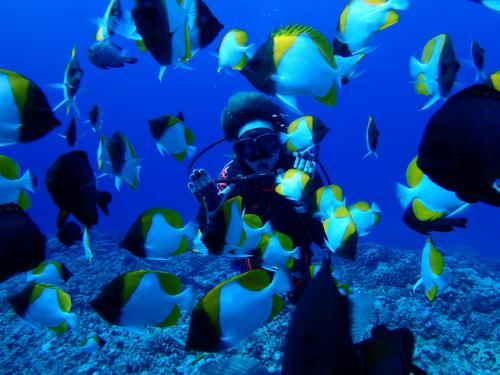 サイパン ダイビング