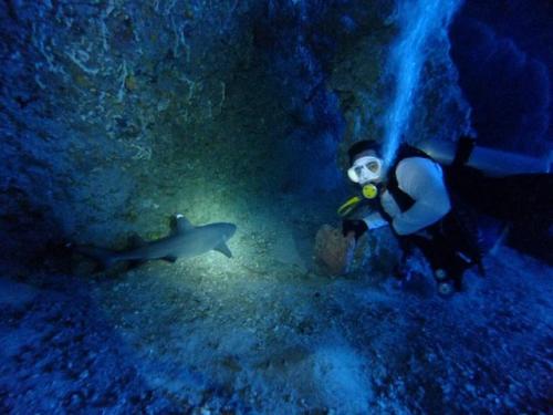 サイパン ダイビング