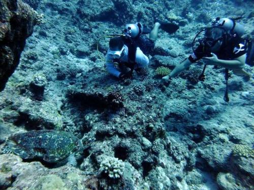 サイパン 体験ダイビング