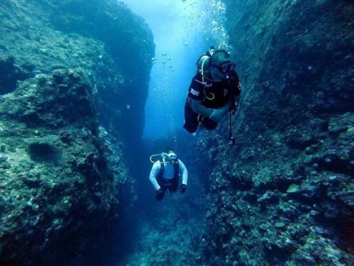 サイパン ダイビングライセンス