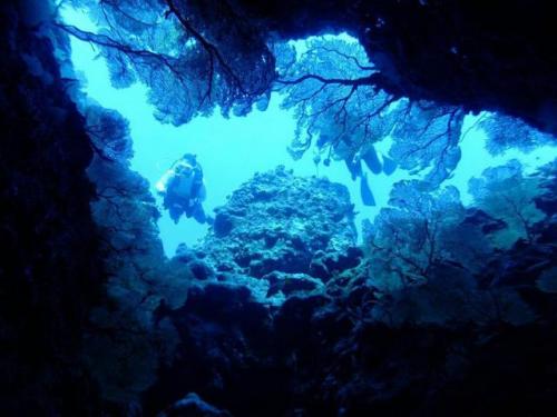 サイパン ダイビングショップ