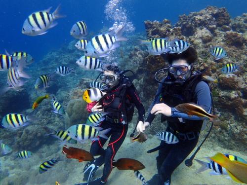 サイパン 体験ダイビング