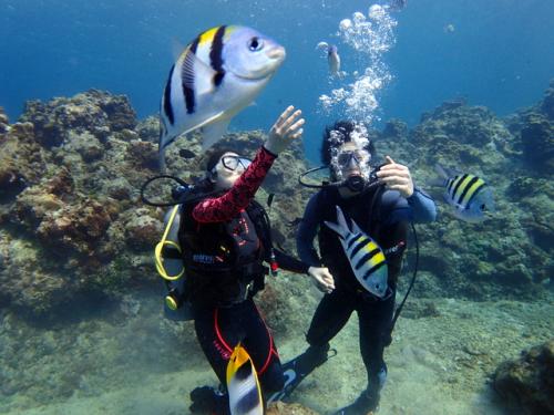 サイパン ダイビングライセンス