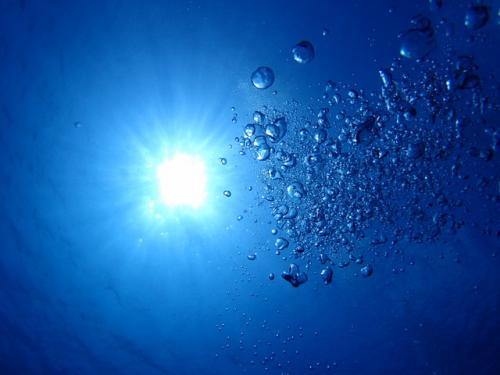 サイパン ダイビング