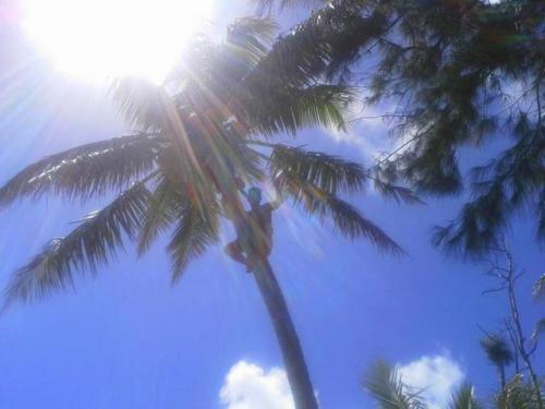 サイパン ダイビング