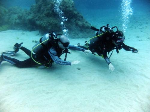 サイパン ダイビング