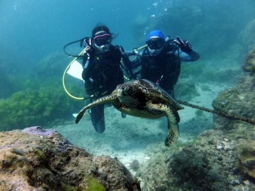 サイパン ダイビングショップ