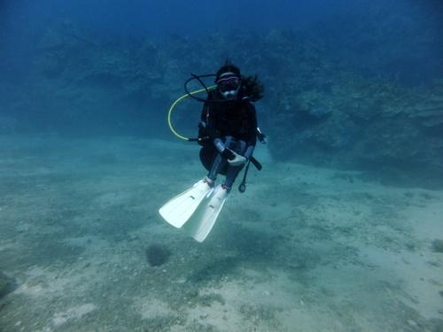 サイパン ダイビングライセンス