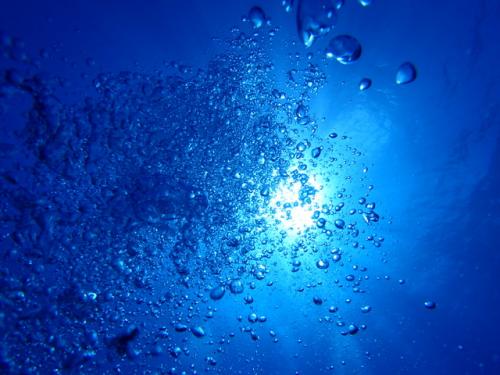 サイパン 体験ダイビング