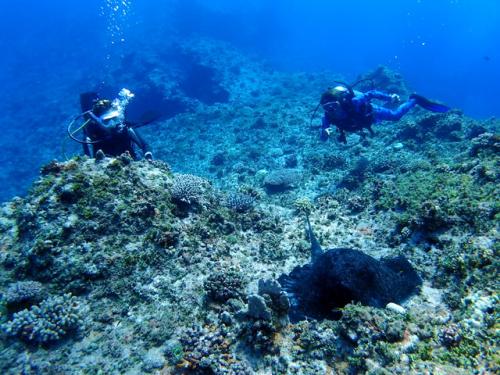 サイパン ダイビングライセンス