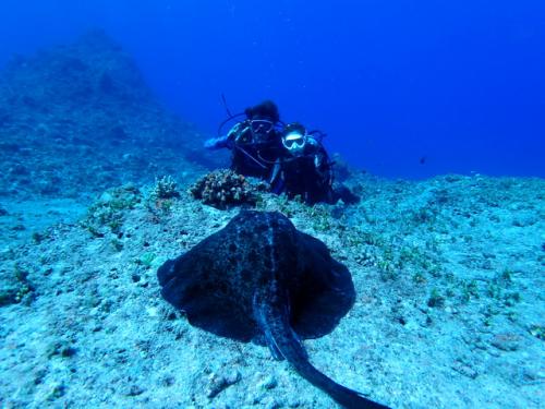 サイパン ダイビングショップ