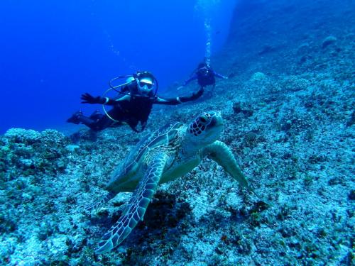 サイパン ダイビングライセンス