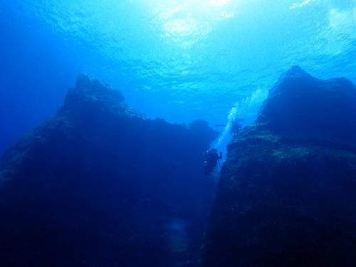 サイパン ダイビングショップ